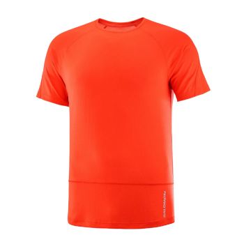 Salomon Cross Run SS Tee herr