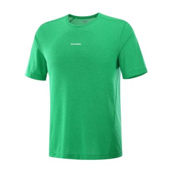 Salomon Shakeout Core SS Tee herr