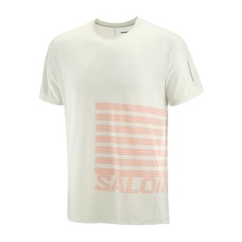 Salomon Sense Aero SS Tee herr